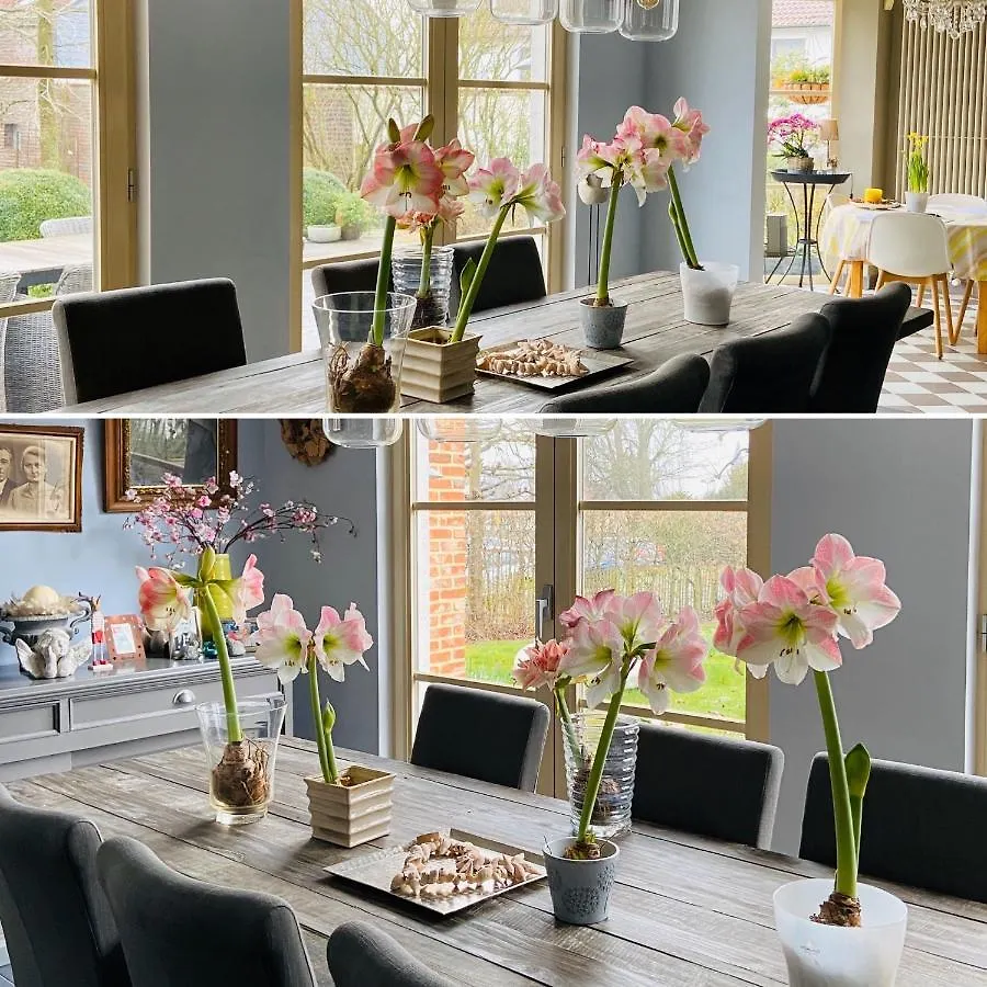 **** Bed & Breakfast B&B Aline Florentine - Adults Only - Luxury B&B - Chambres D'Hotes - Zimmer Frei Kortenberg België